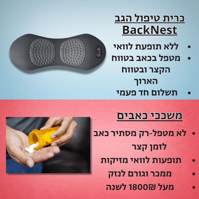 כרית טיפול הגב BackNest - מבית PELZA