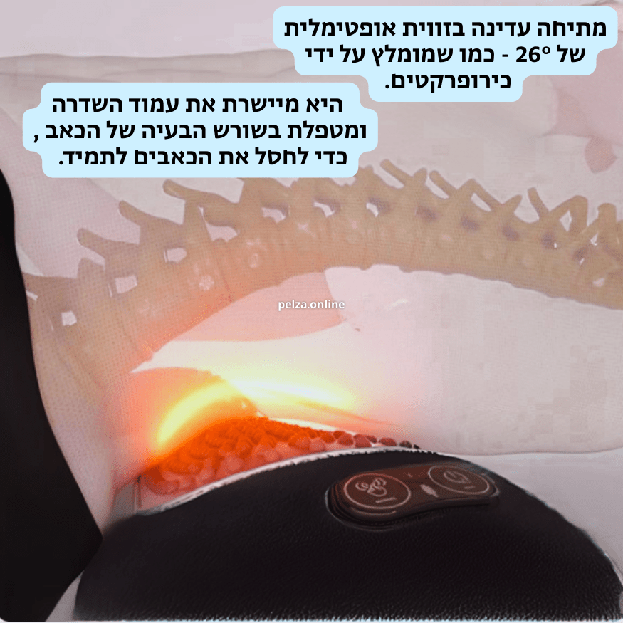 כרית טיפול הגב BackNest - מבית PELZA